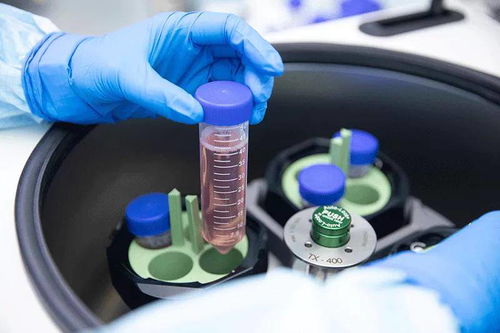 源品生物迎来 开门红 干细胞科研项目入选长沙市重点研发计划