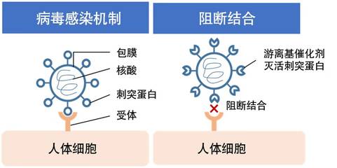 日产汽车与日本东北大学药学院共同成功研发灭活病毒的催化剂技术